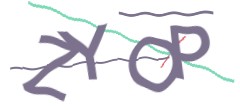 Identifying code