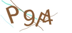 Identifying code