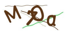 Identifying code