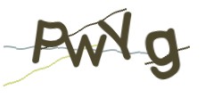 Identifying code