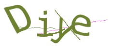 Identifying code