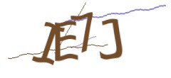 Identifying code