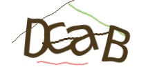 Identifying code