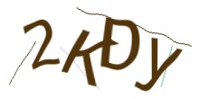 Identifying code