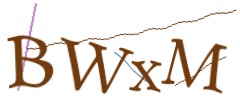 Identifying code