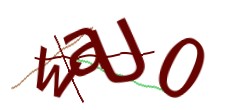 Identifying code