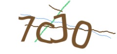 Identifying code