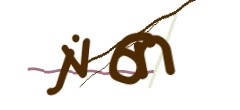 Identifying code