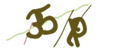 Identifying code