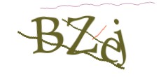 Identifying code
