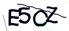 Identifying code