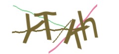 Identifying code