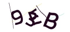 Identifying code