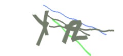 Identifying code
