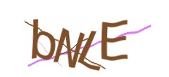 Identifying code