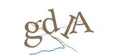 Identifying code
