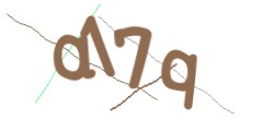 Identifying code