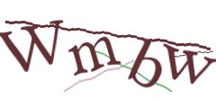 Identifying code
