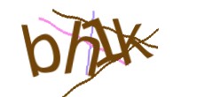 Identifying code