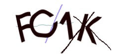 Identifying code