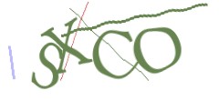 Identifying code