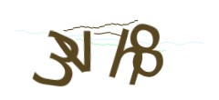 Identifying code
