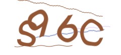 Identifying code