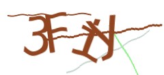 Identifying code