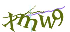 Identifying code
