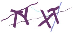 Identifying code