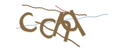 Identifying code