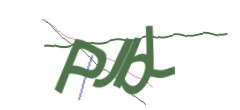 Identifying code