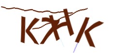 Identifying code