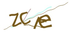 Identifying code