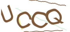 Identifying code