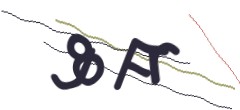Identifying code