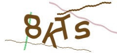 Identifying code