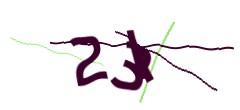 Identifying code