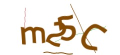 Identifying code