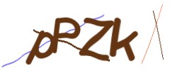 Identifying code