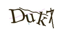 Identifying code