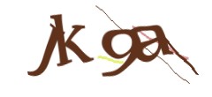 Identifying code