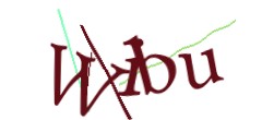 Identifying code