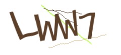 Identifying code