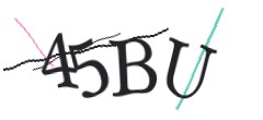 Identifying code