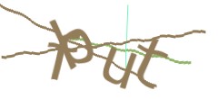 Identifying code