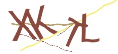 Identifying code