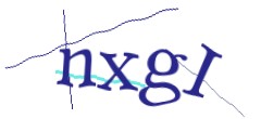 Identifying code