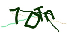 Identifying code
