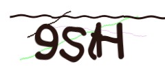 Identifying code
